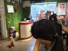 -大王油茶(磁器口店)