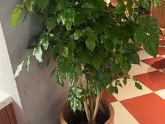 -漢舍中国菜馆(浦东嘉里城店)