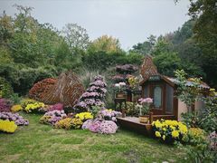 -杭州植物园