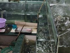 -旺山·浪头人家
