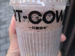-一只酸奶牛(八一路店)