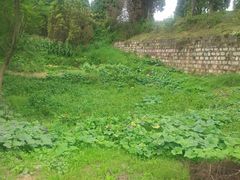-月牙潭公园