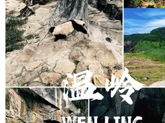 -莫干山风景区
