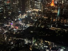 -六本木新城展望台(东京城市景观)