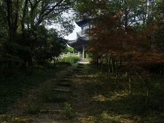 -梁鸿国家湿地公园