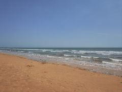 -日照海滨国家森林公园