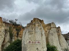 -彩色沙林风景区