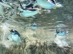 -成都浩海立方海洋公园