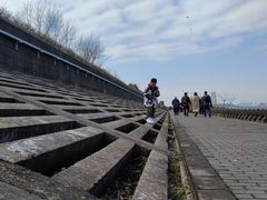 -上海滨江森林公园