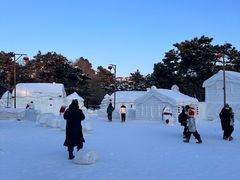 -长春市南湖公园