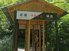 -青峰峡国家森林公园