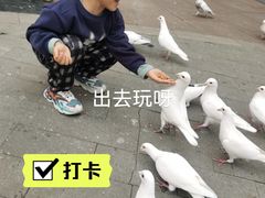 -中粮·祥云小镇