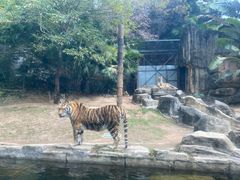 -深圳野生动物园