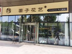 -ChaKo Flora ·茶子花艺 (市北店)