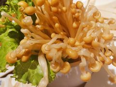 四川金针蘑-大龙燚火锅
