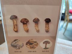-新南华大酒店(长寿店)