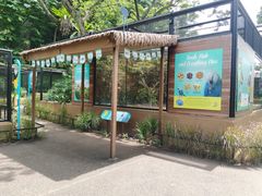 -新加坡飞禽公园