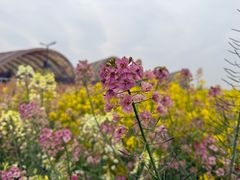 -中国天府农业博览园