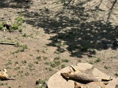 -哈尔滨北方森林动物园