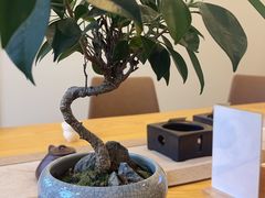 -肯德基(西影路店)