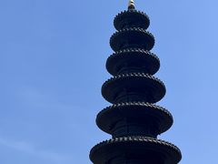 -深圳仙湖植物园