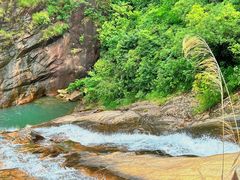 -广州白江湖森林公园