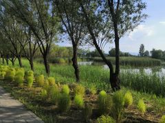 -野鸭湖国家湿地公园