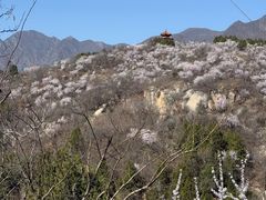 -白水寺森林公园