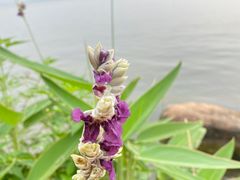 -东湖生态旅游风景区