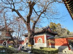 -北京艺术博物馆(万寿寺)