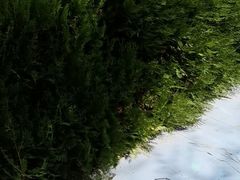 -小五台金河景区