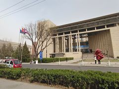 -中关村茶点