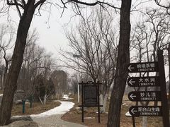 -阳台山自然风景区