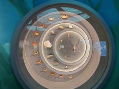 -中国湿地博物馆