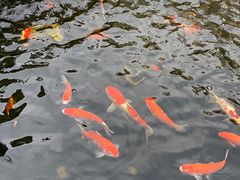 -顺德了能馆(虎门店)