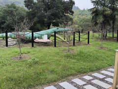 -金钉子远古世界景区