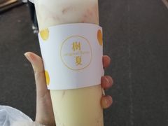 -树夏(建设路店)