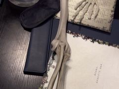 -剧狐剧本杀·月球探案馆(人民广场1号店)