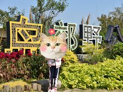 -上海长兴岛郊野公园