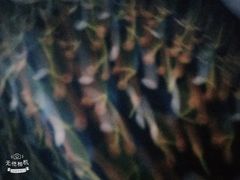 -多彩贵州城极地海洋世界