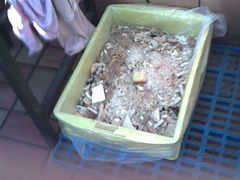 像垃圾一样的边角料-苹果花园(桂林路店)