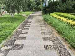 -元大都城垣遗址公园