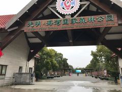 -上海海湾国家森林公园