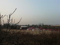 -秀丽东方