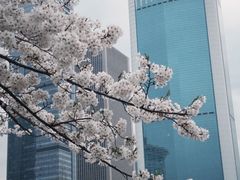 -西北湖绿化广场