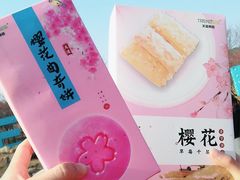 纪念品-天适樱花悠乐园