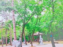 -沈阳市东陵公园
