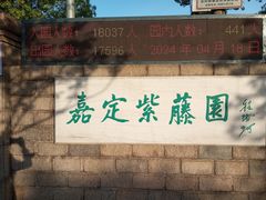 -嘉定紫藤园