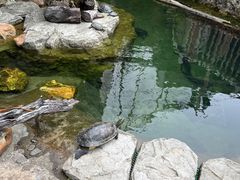 -香港海洋公园