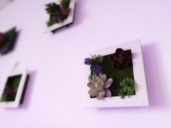 -A+匠心DIY手工坊·首饰·微景观